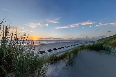 Villa a Texel vicino Spiaggia e Foresta