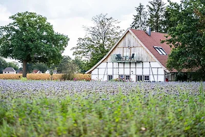Ferienwohnung mit 2 Schlafzimmer