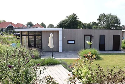 Casa vacanze a Olburgen con piscina