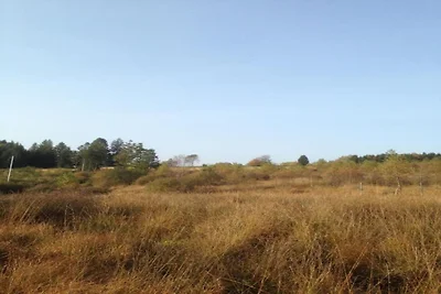 Terrassenwohnung mit Wald