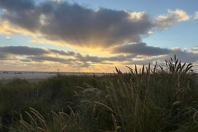 Strandparadies in Lakolk -- By Traum...
