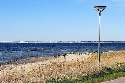 4 persone case ad Farsø-By Traum