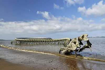Appartement bij het strand Plage de...