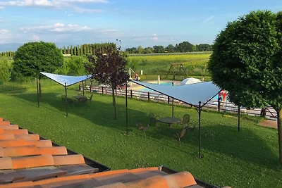 Tuin (zomer) Tuin (zomer)