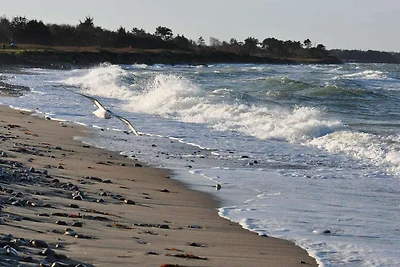 6 Personen Ferienhaus in Kalundborg-By Traum