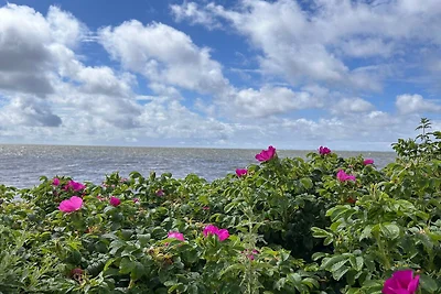 Charmanter Rückzugsort in Ringkøbing