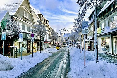 Ruim appartement in Winterberg bij skipiste