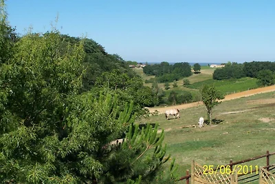 Bella casa vacanze con piscina
