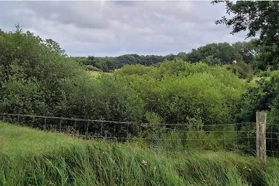 4 persoons vakantie huis in Hovborg-By Traum
