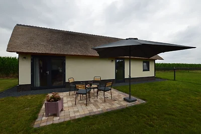 Casa vacanze ad Alphen-Chaam con terrazza
