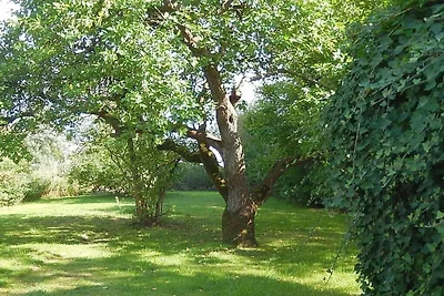 Ferienhaus Erholungsurlaub Pellworm