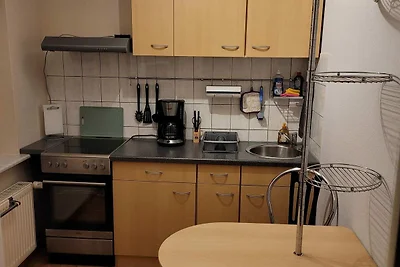 Wohnung in Sachsen am Fluss mit Terrasse