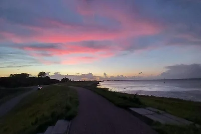 Ferienhaus in Zeeland mit Garten
