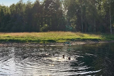 9 Personen Ferienhaus in MARKARYD-By Traum