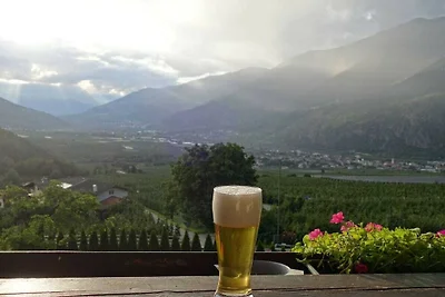 Golden Delicious - Bauernhof Stadlgut