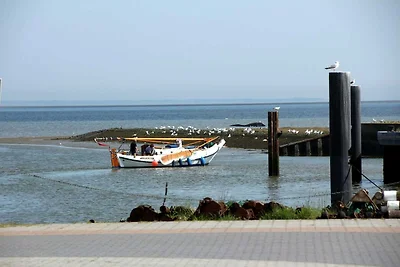 Reihenhaus, Dornumersiel