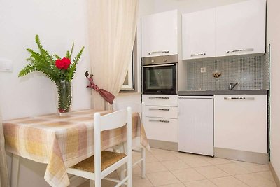 Apartments Vidak - Studio Apartment with Terr...