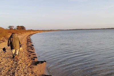 6 persoons vakantie huis in Roslev