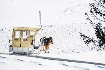 Komfortables Familienapartment mit Seeblick