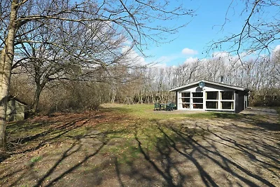 6 Personen Ferienhaus in Hurup Thy-By Traum