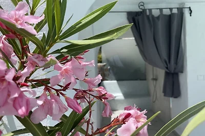 Vakantieappartement met 1 slaapkamer
