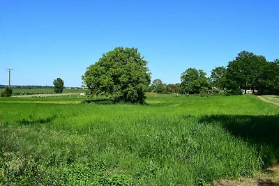 Ferienhaus nahe Loire Schlösser und Natur
