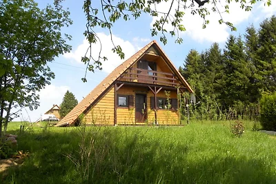 Wunderschönes Chalet mit Terrasse in Dabo