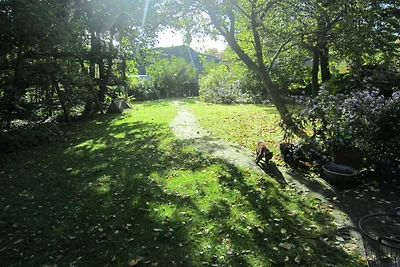 Ferienhaus in Groet mit Schwimmbecken