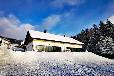 Villa in Cerny Dul mit Sauna