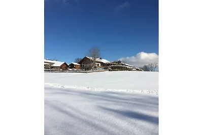 Vakantieappartement met 2 slaapkamers