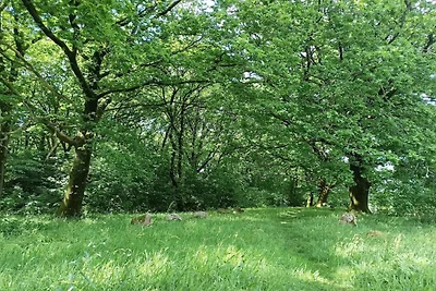 8 Personen Ferienhaus in Hovborg-By Traum