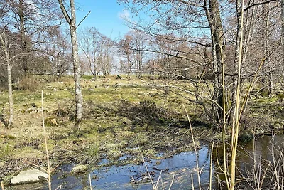 Helles Ferienhaus in Vollsjö-By Traum