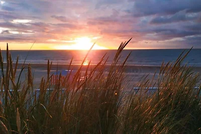 Wohnung in Nieuwpoort am Meer