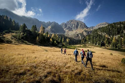 Ferienwohnung mit 3 Schlafzimmern