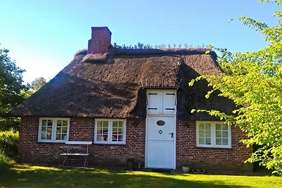 Ferienhaus mit 1 Schlafzimmer