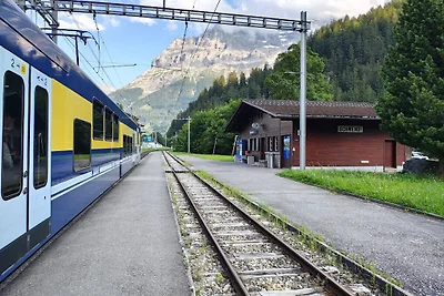Chalet Schwendiboden