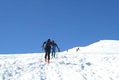 Helle Wohnung im Val di Fiemme mit großzügige...