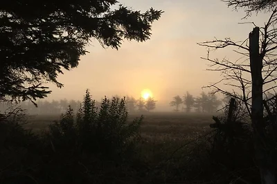 10 persone case ad Ulfborg-By Traum