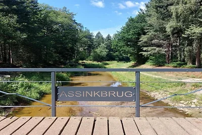 Huisje in Veluwe bij Hoge Veluwe Park