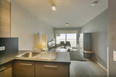 Gezellig appartement in Blankenberge