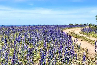 6 Personen Ferienhaus in LÖTTORP