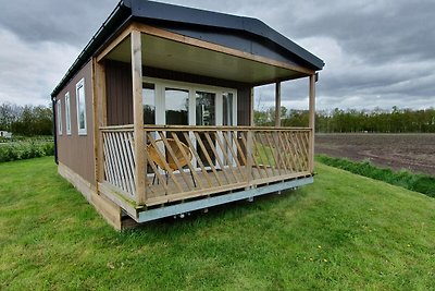 Chalet accogliente a Schoonloo in un ambiente...