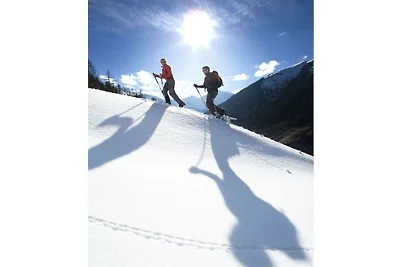 Edelweiss | Maneggio Alpine Appart