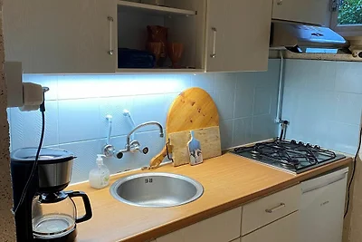 Ferienhaus in Appelscha mit Garten