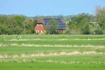 Land und Meer: Land/EG