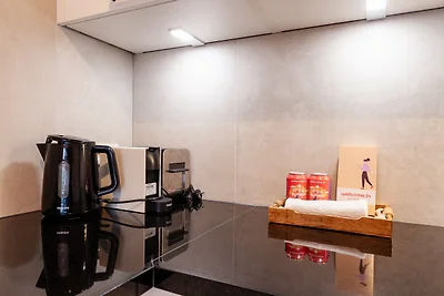 Modernes Ferienhaus in Vrouwenpolder