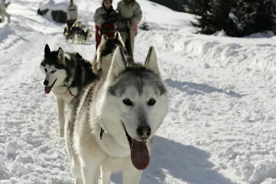 Maisonette in Les Carroz