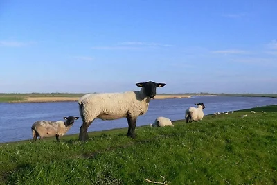 Ferienhaus mit 5 Schlafzimmer