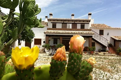 Ferienhaus in Periana mit Schwimmbad