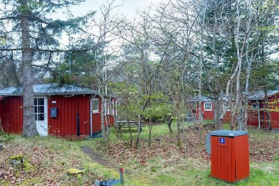 4 Personen Ferienhaus in Blokhus